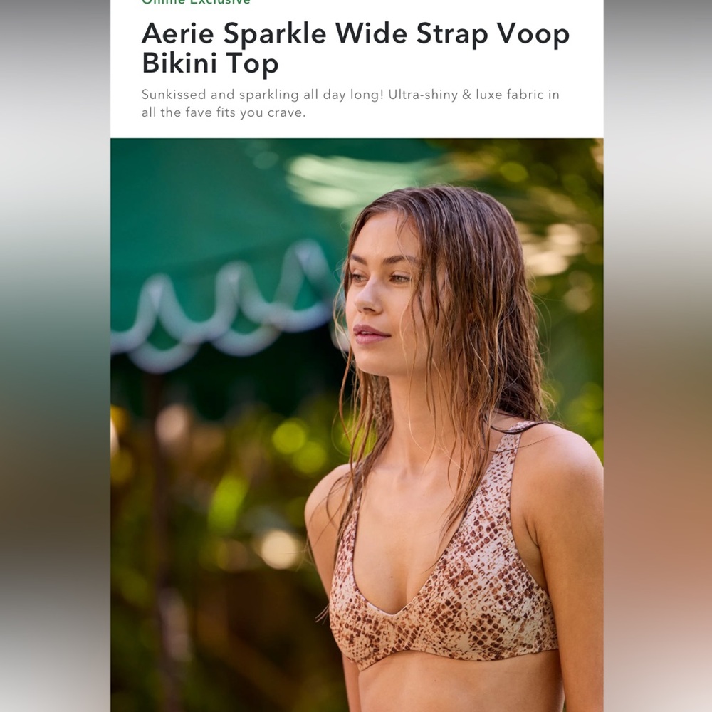 Aerie Brown Bikini Top